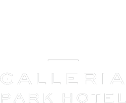 Galleria Park Hotel